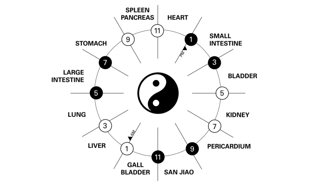 Five Yin Organs chinese herbs for healing benefits